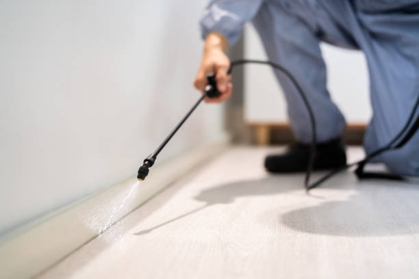 Licensed Termite Control service in Waverly, IL - Nex Pest Control
