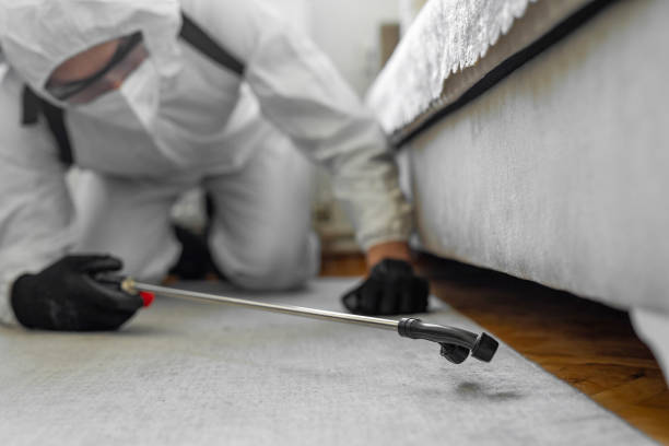 Professional Termite Control technician working in Waverly, IL