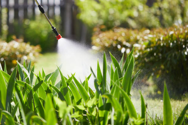 24/7 Emergency Termite Control experts in Waverly, IL