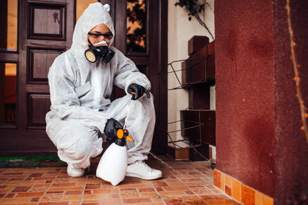 Reliable Termite Control contractor in Waverly, IL by Nex Pest Control