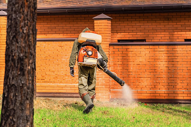 Top rated local Termite Control specialists in Waverly, IL